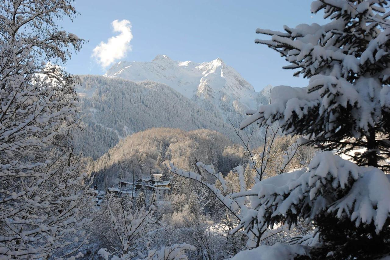 Ferienhof Oblasser Hotel Mayrhofen Exterior photo